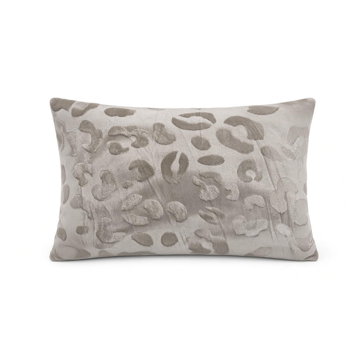 Savanna Leopard