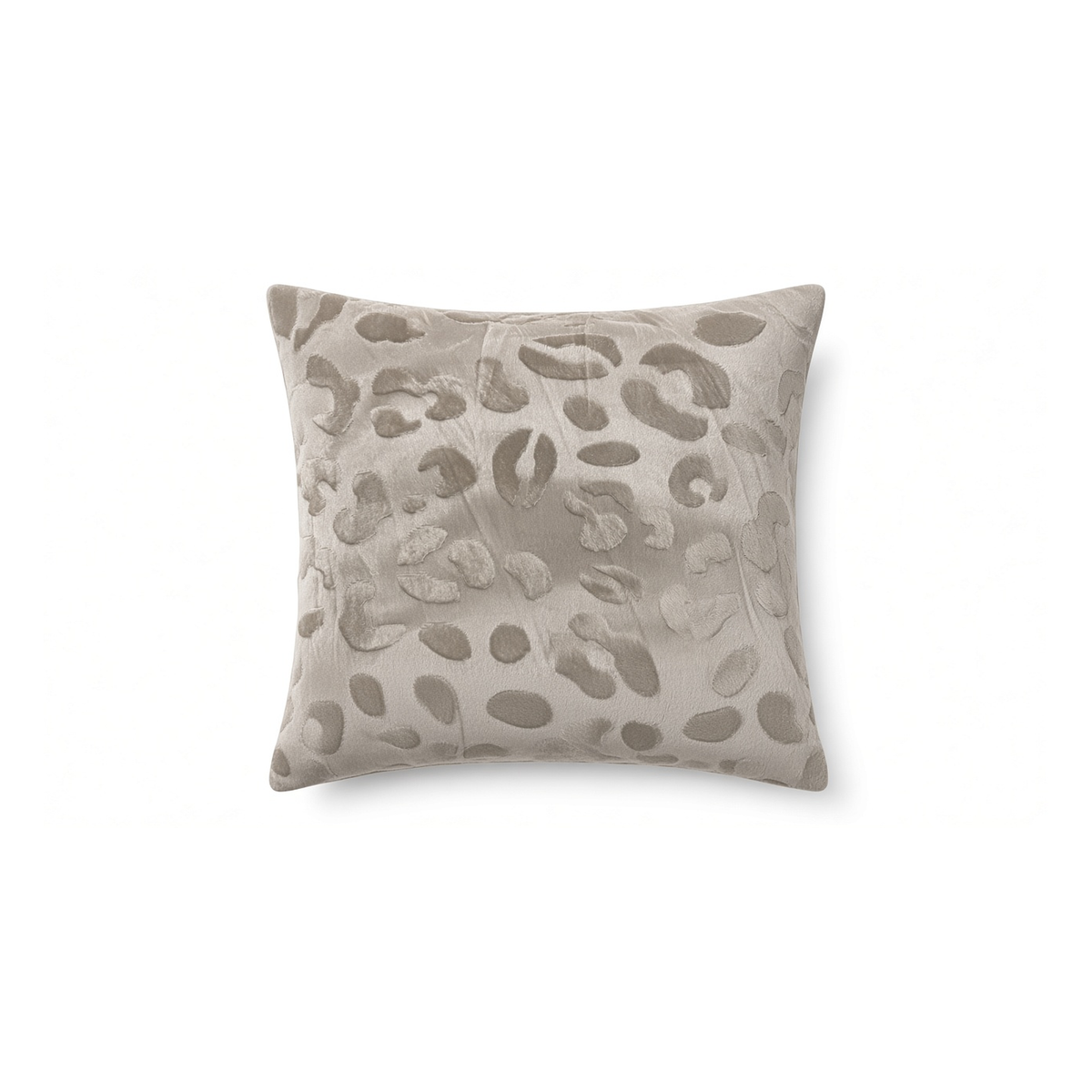 Savanna Leopard