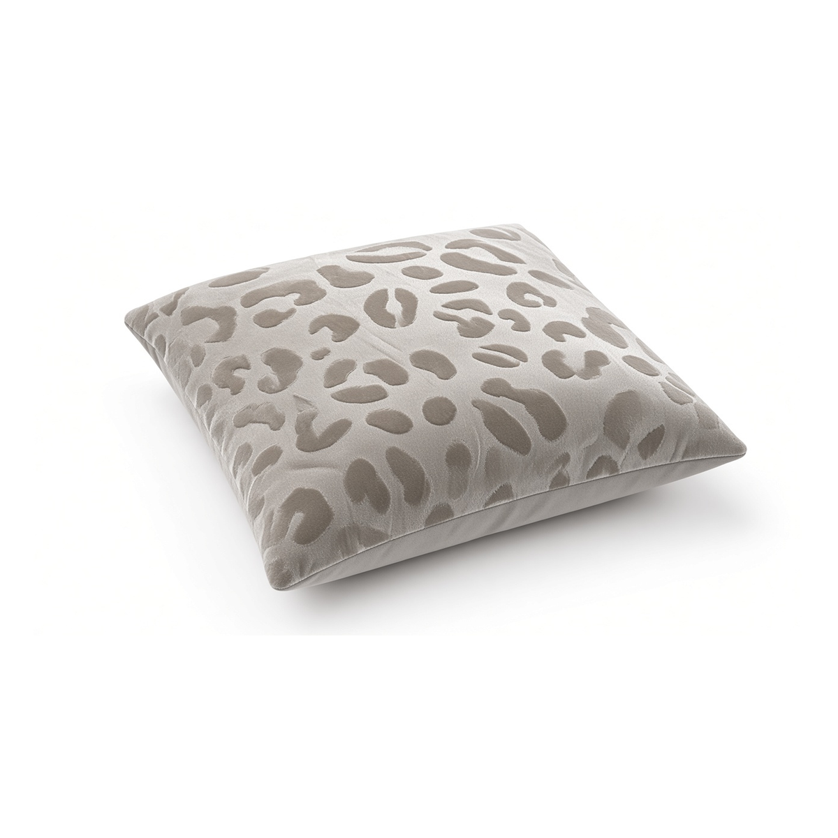 Savanna Leopard