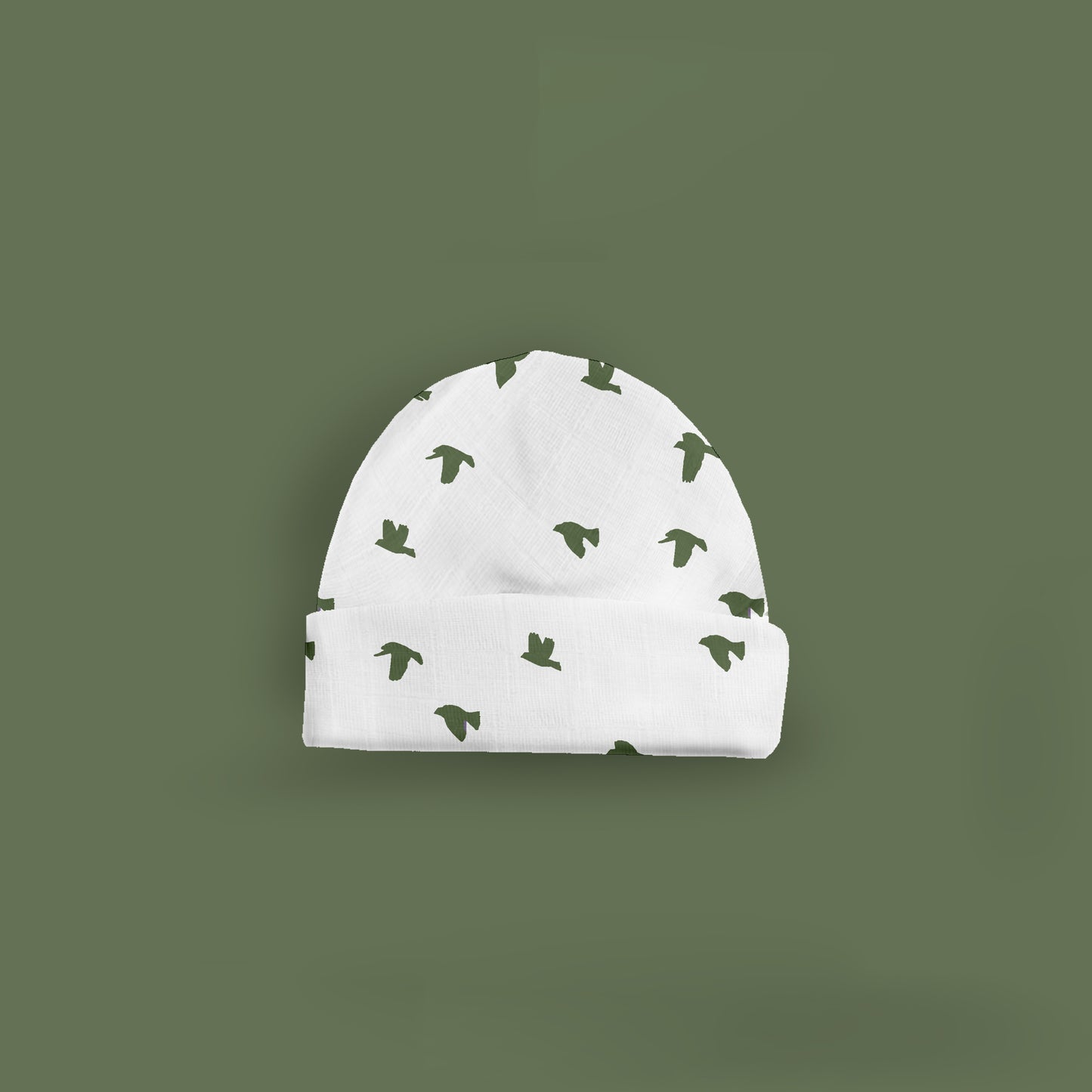 Little Wings Cap