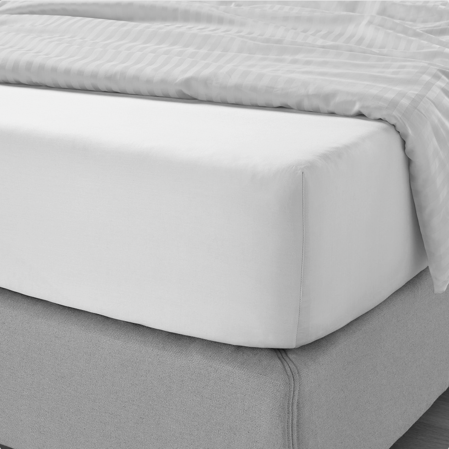 Brilliant White Fitted Sheet